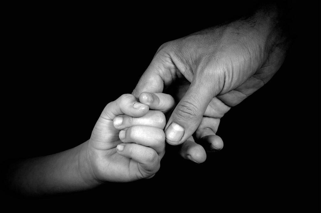 Echoes of Fatherhood Fundamentals in Family Dynamics